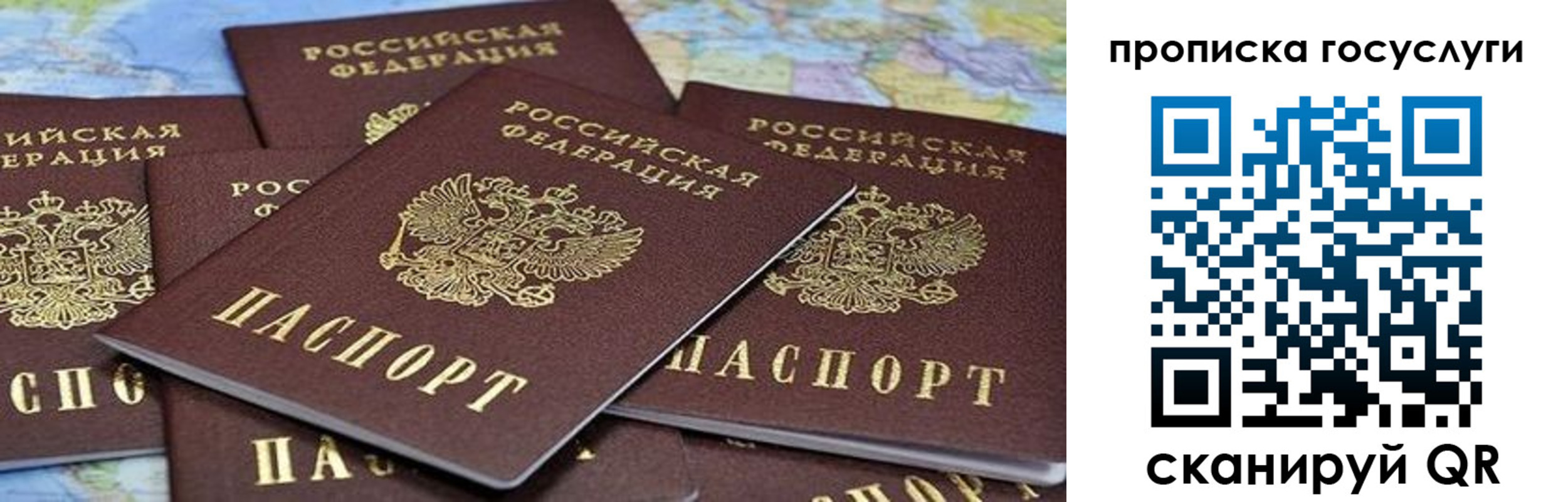 пропишу в квартире в Ейске